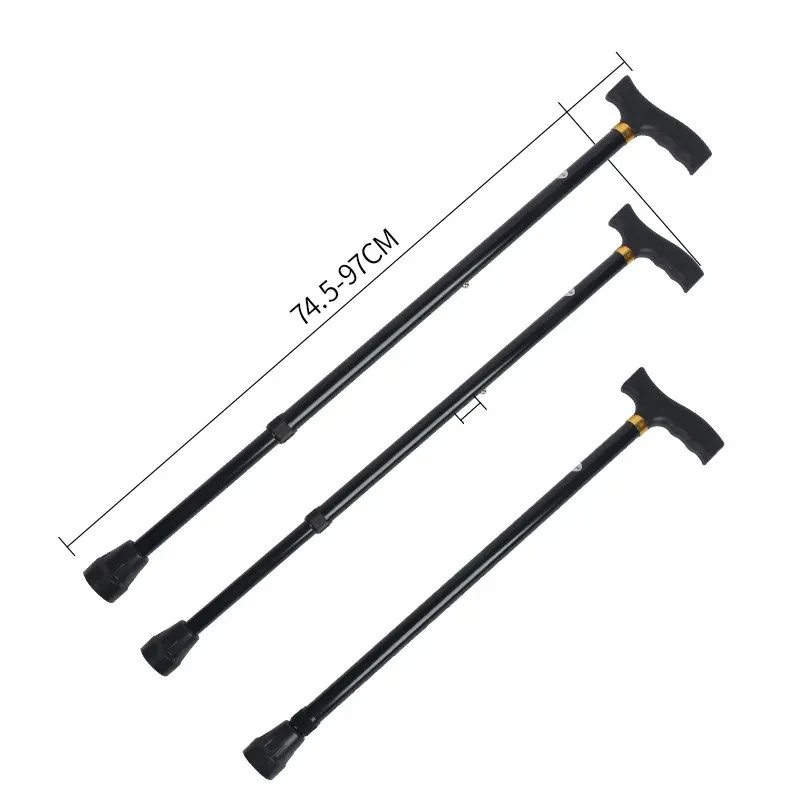 walking sticks
