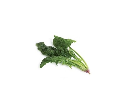 SPINACH PLANT NORMAL (PER KG) - [PRODUCE]