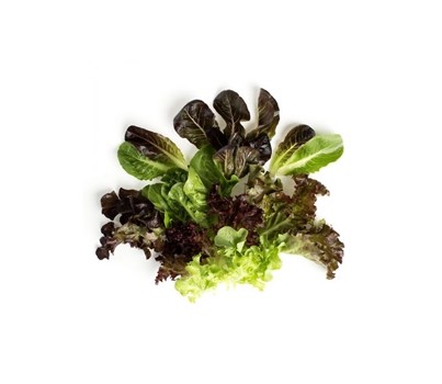 MIX FANCY LETTUCE (PER KG) - [PRODUCE]