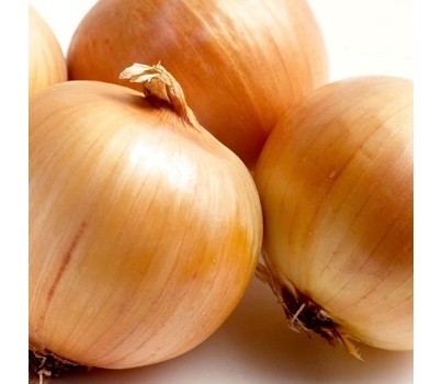 ONIONS JUMBO (20KG BAG) - [PRODUCE]