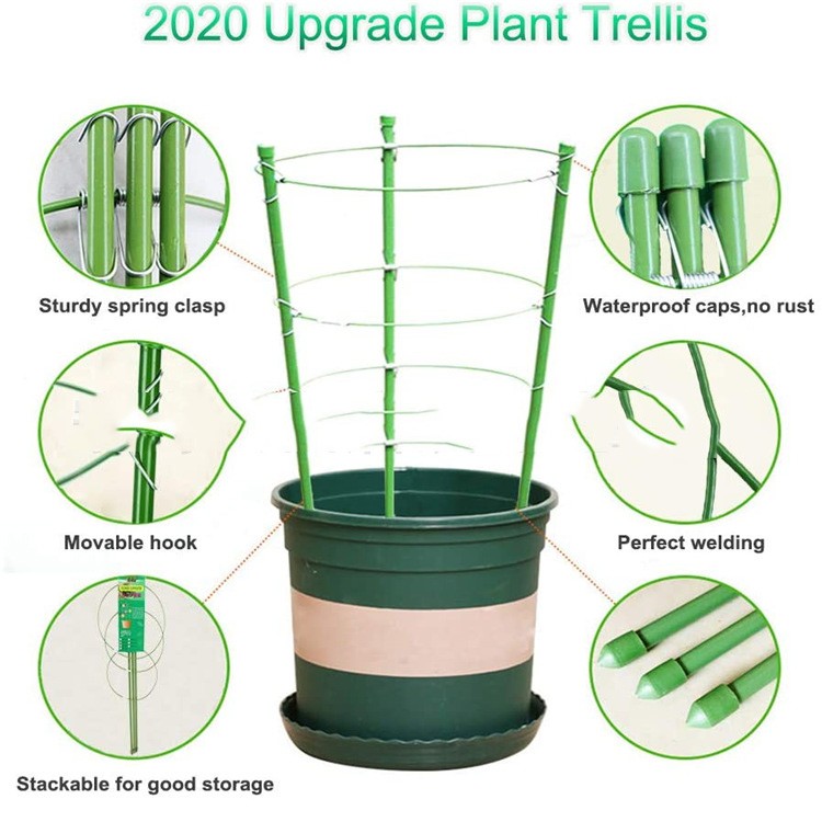 plant guards