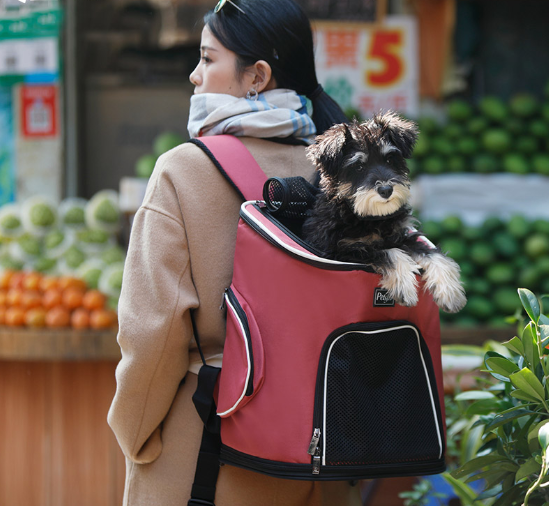 Dog Pack