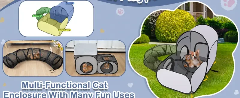 Cat Enclosures