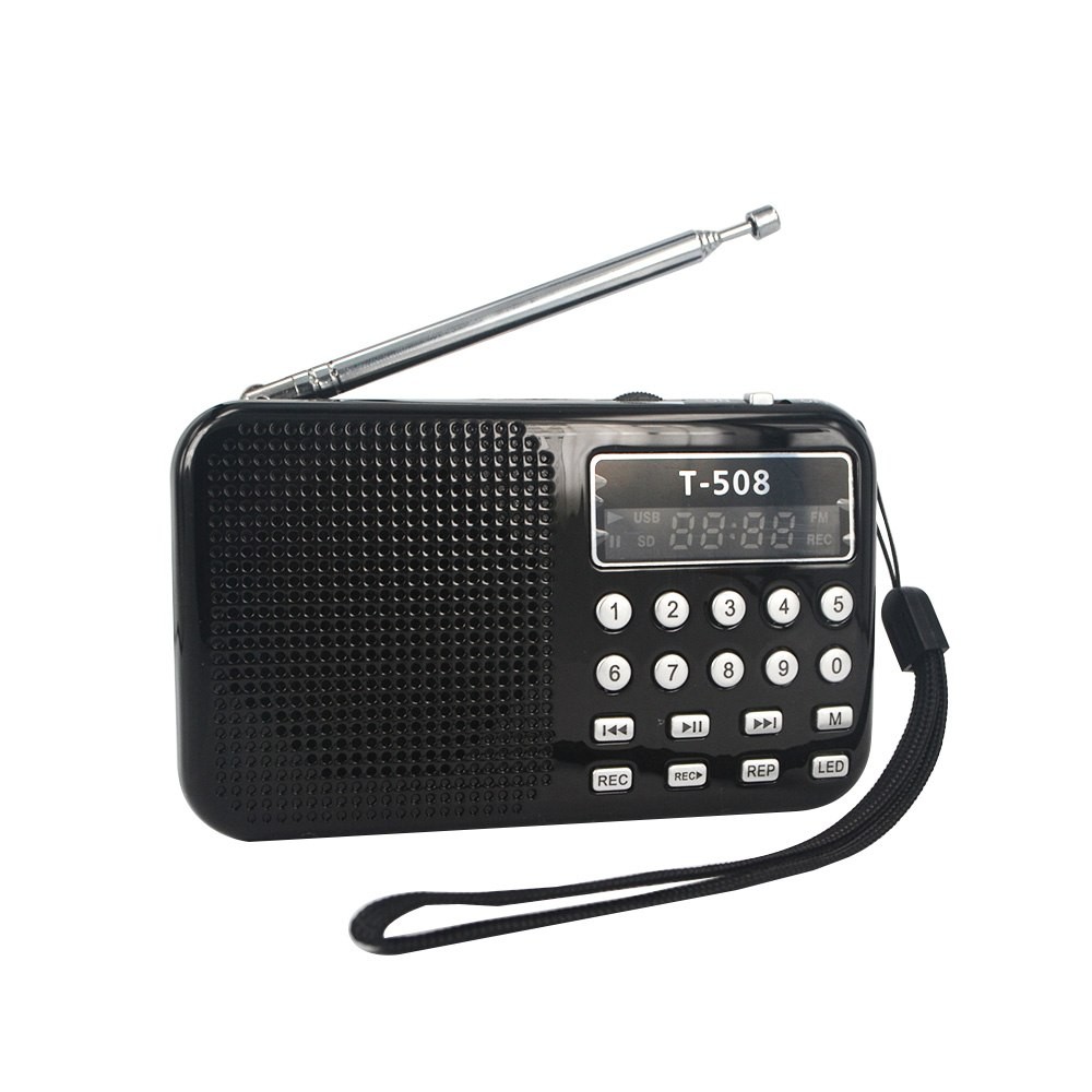Compatible With Apple, Mini Portable Dual Band Rechargeable Digital LED Display Panel Stereo FM Radio Speaker USB TF Mirco For Tablet PC MP3