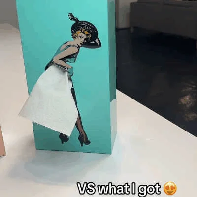 LAST DAY 49% OFF - Flying Skirt Tissue Box