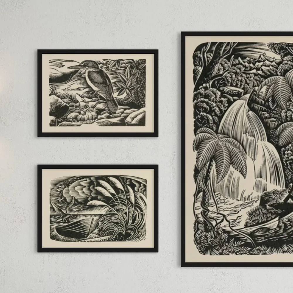 E. Mervyn Taylor - Print - Kotare