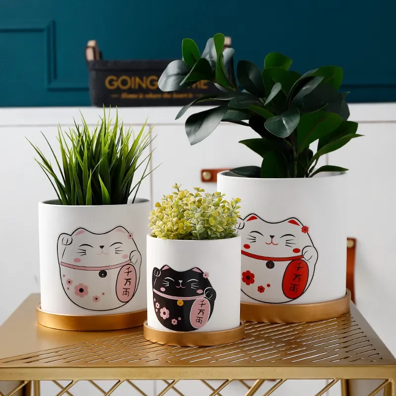 Indoor Plant Pots