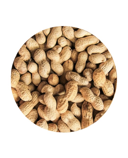 FRESH LINE Roasted Peanuts In Shell Unsalted 500g