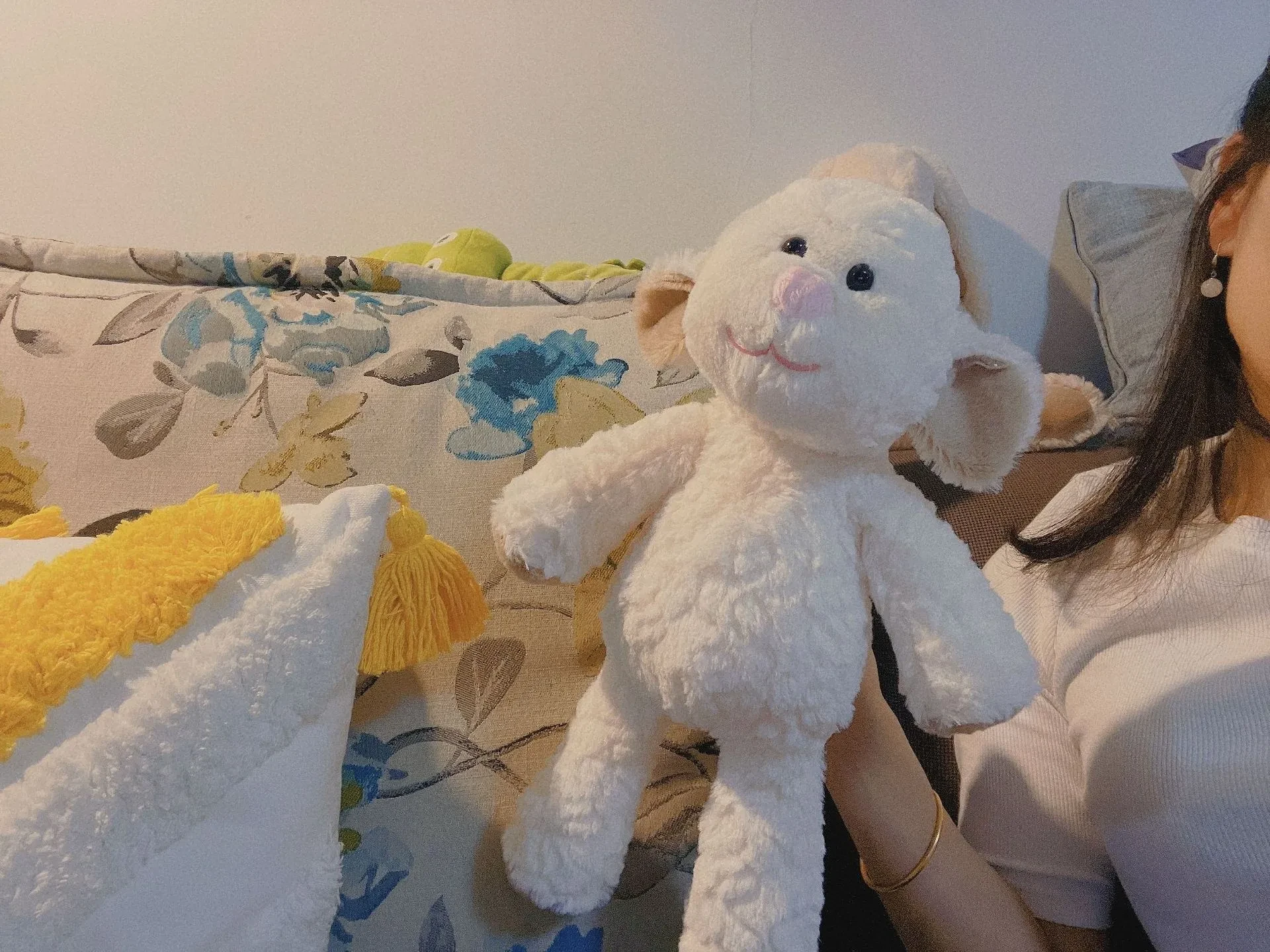 Soft Toys
