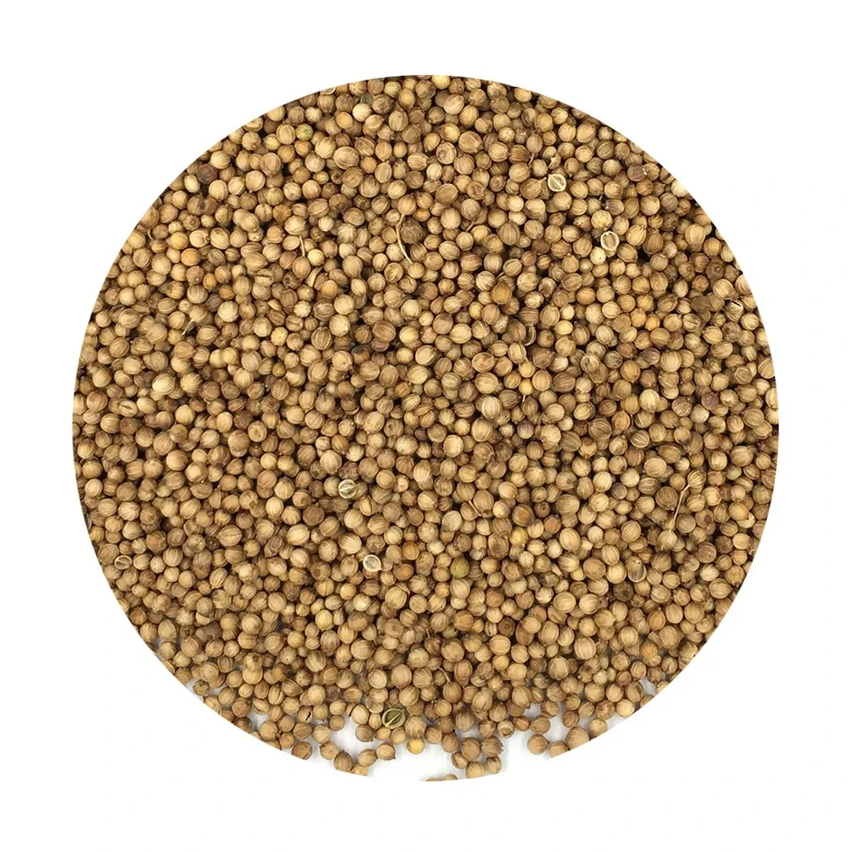 FRESH LINE  Coriander Seeds 500g