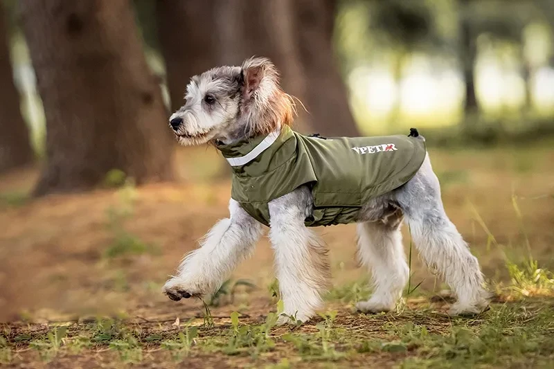 Dog Rain Coats
