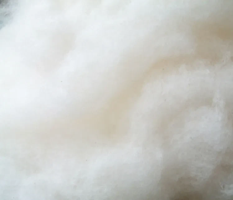 Wool Felt