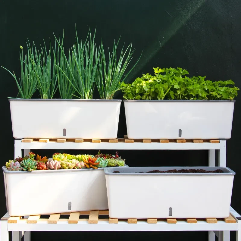 Brass Planter