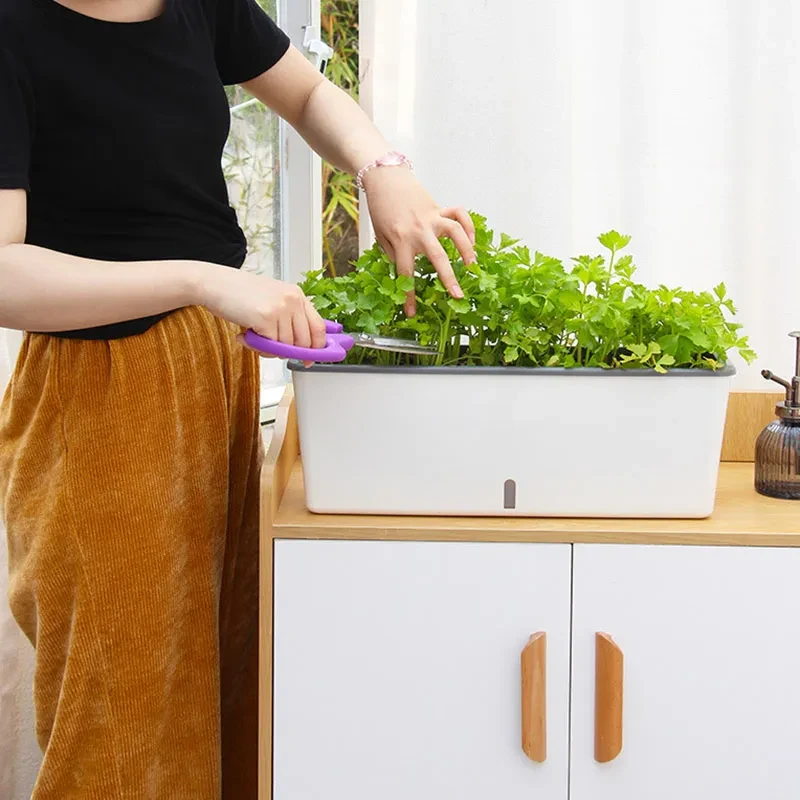 Brass Planter