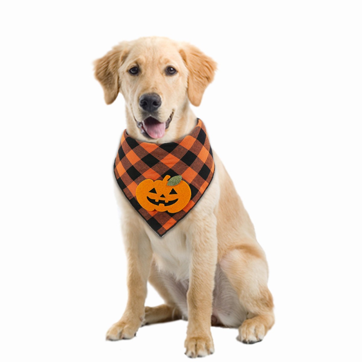 Dog Bandana