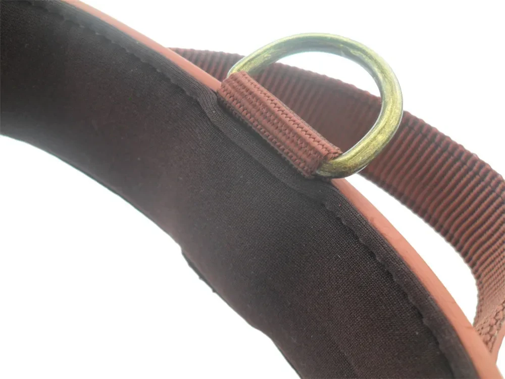 Best Dog Collars