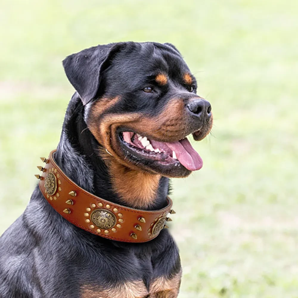 Wide Dog Collars