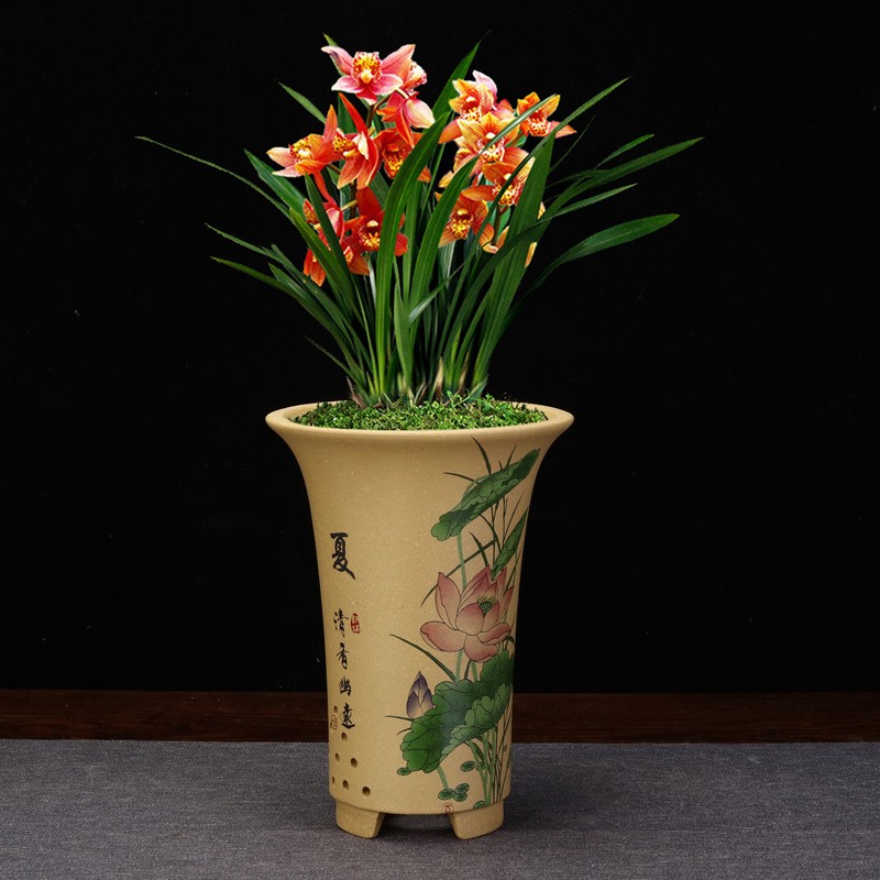 Pots For Plant