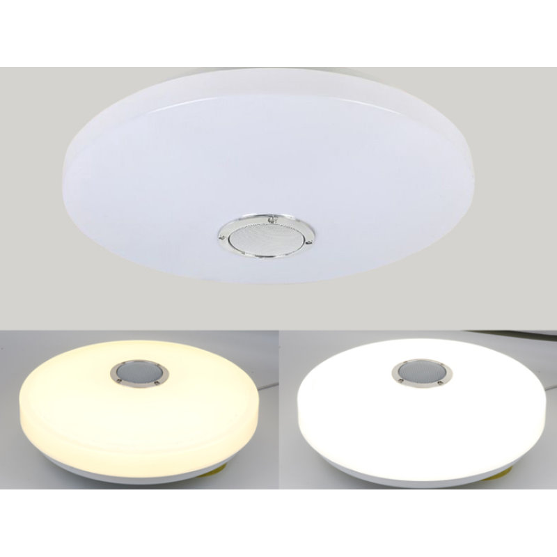 LED Ceiling Light