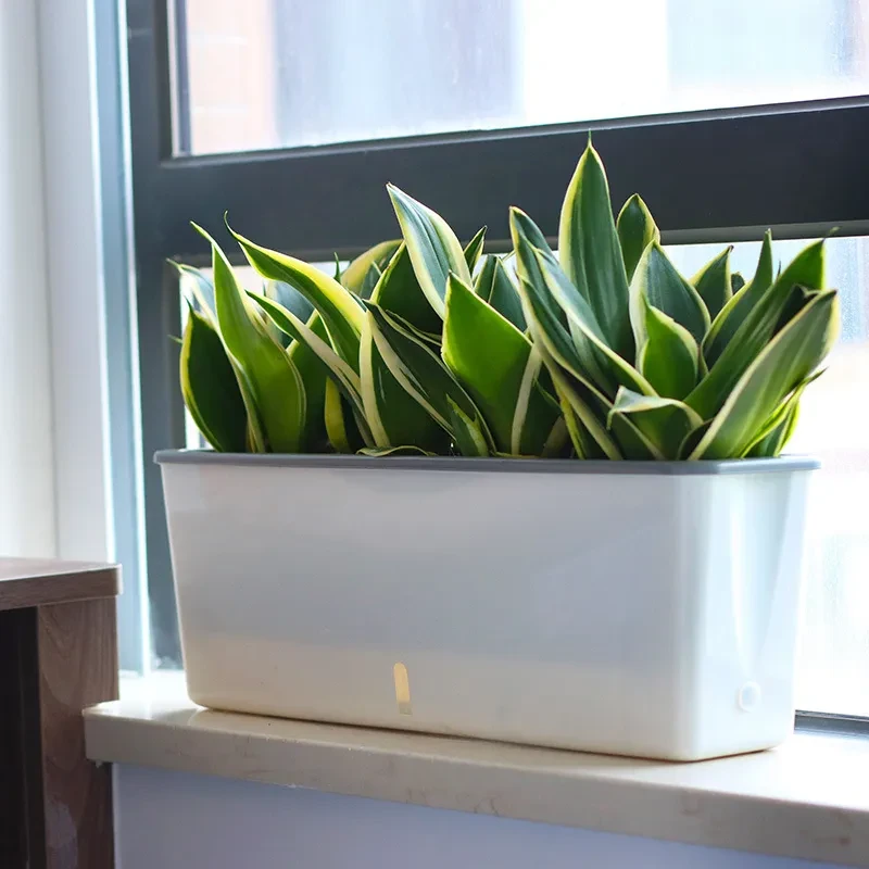 White Planter