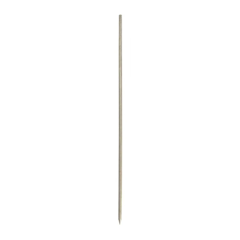 Stainless Steel Thick Skewer BBQ Pork 10" 26cm