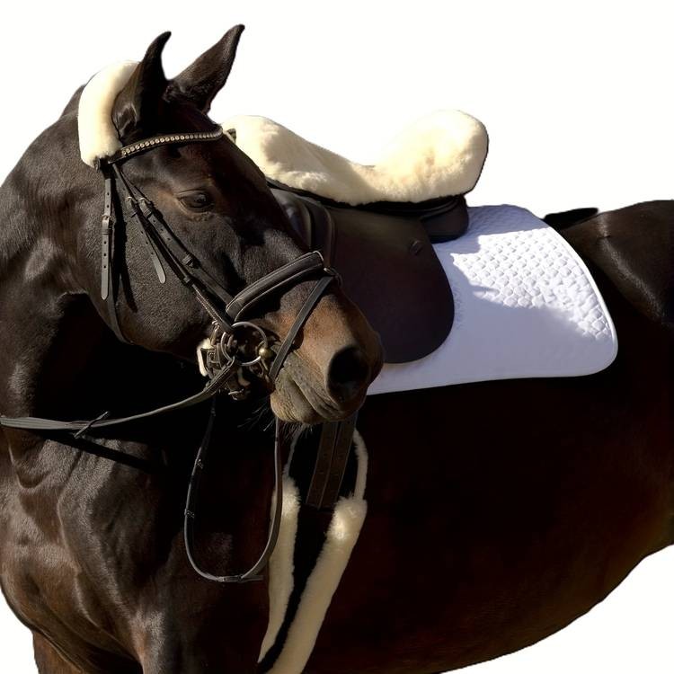 TGW RIDING Equestrian Dressage Girth Plush Comfort, Stable Performance & Premium Horse Protection
