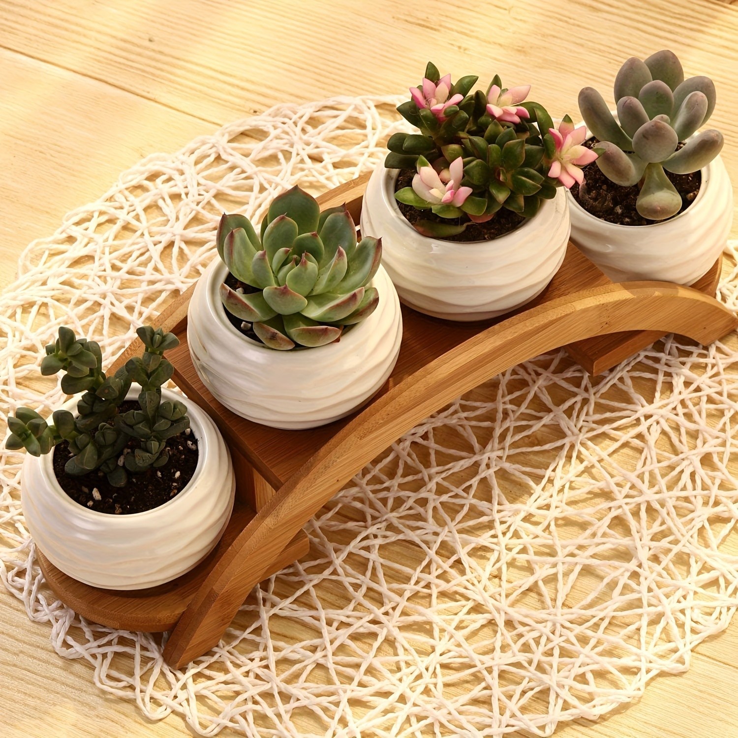 CEEFU 4-Pot Ceramic Succulent Planter Set with Stand Modern White Ripple-Texture Pots with Drainage for Indoor & Outdoor Plants