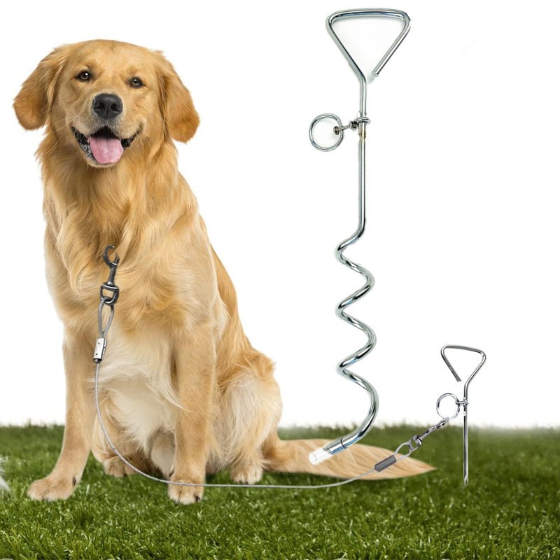 Dog Tie Out Cable
