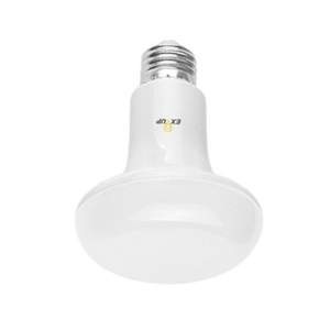 LED Light Bulb