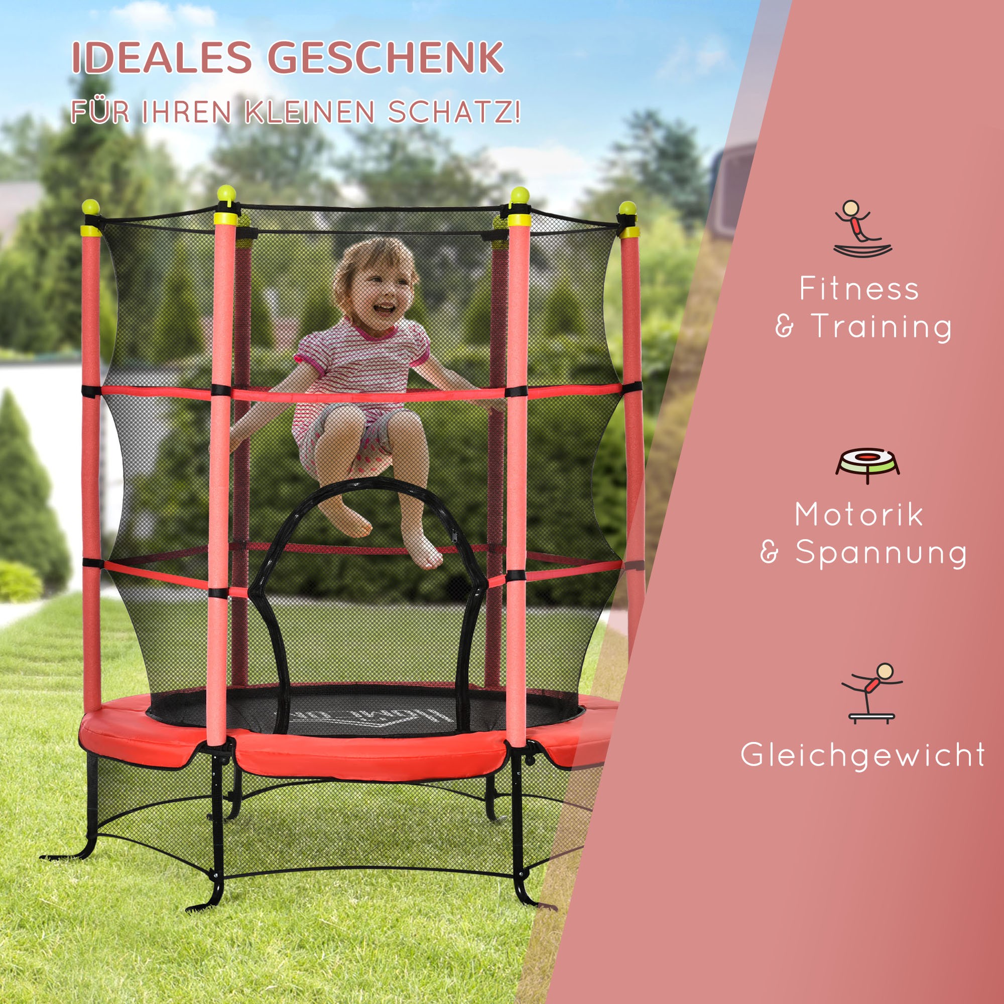 Trampoline With Enclosure