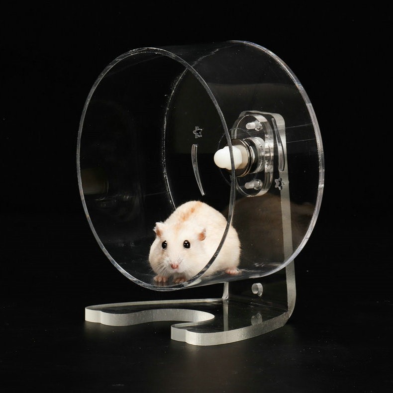 Hamster Wheel