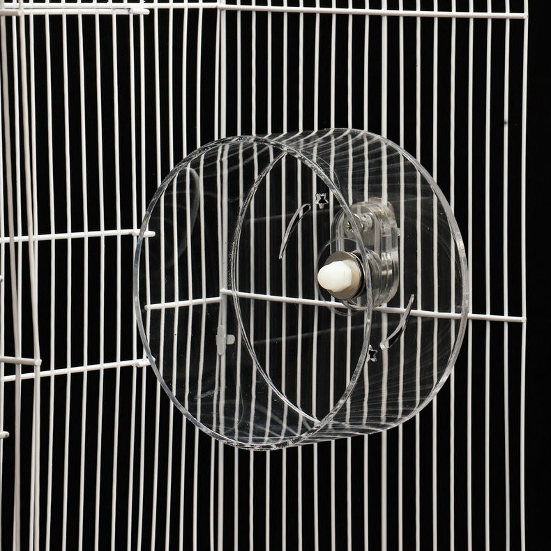 Hamster Wheel