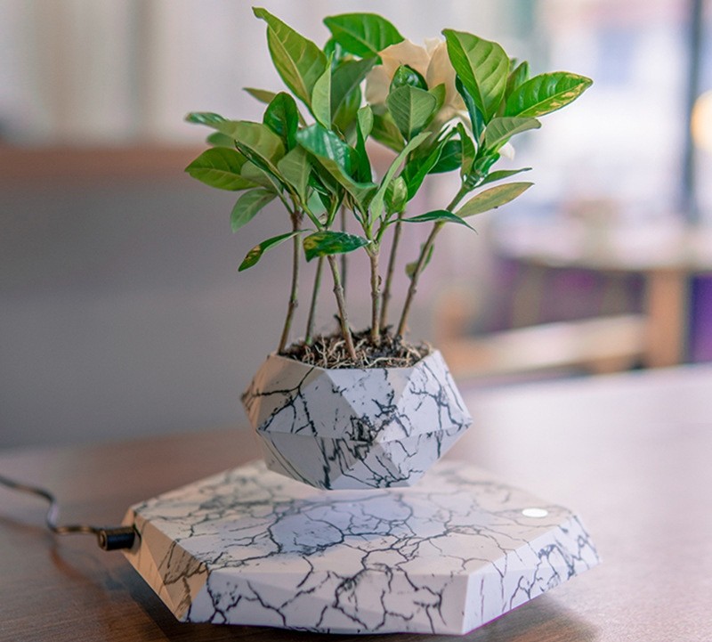 Modern Planter Pots