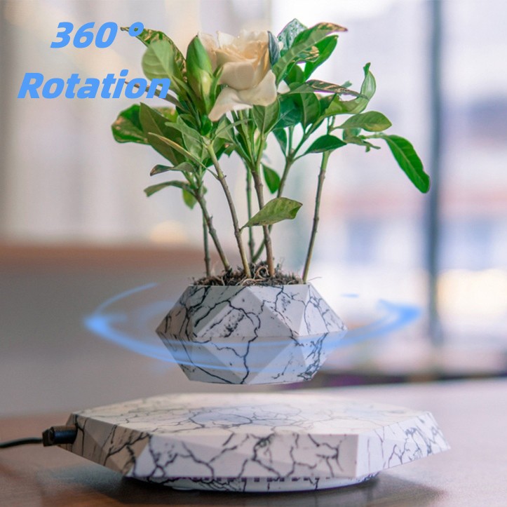 Modern Planter Pots