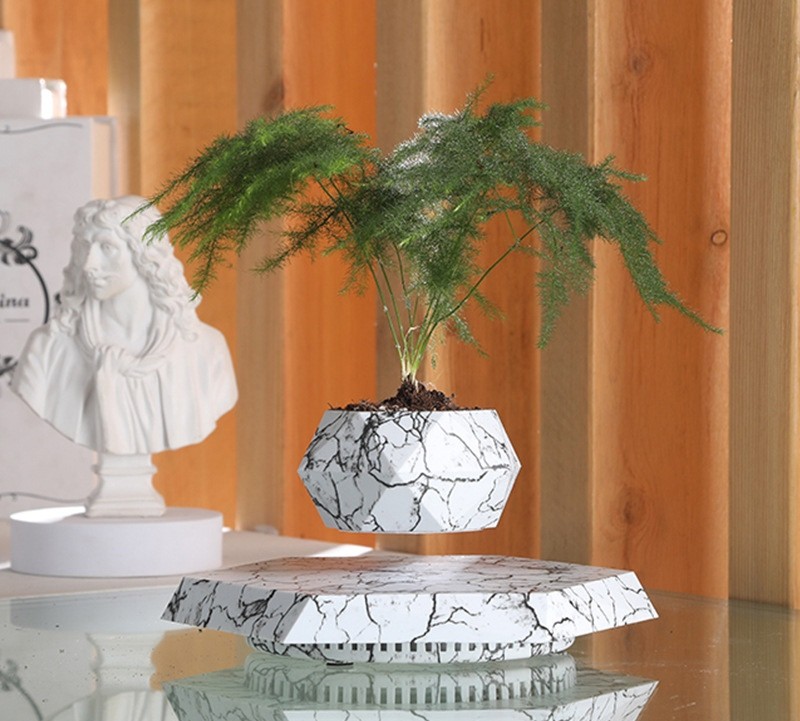 Modern Planter Pots