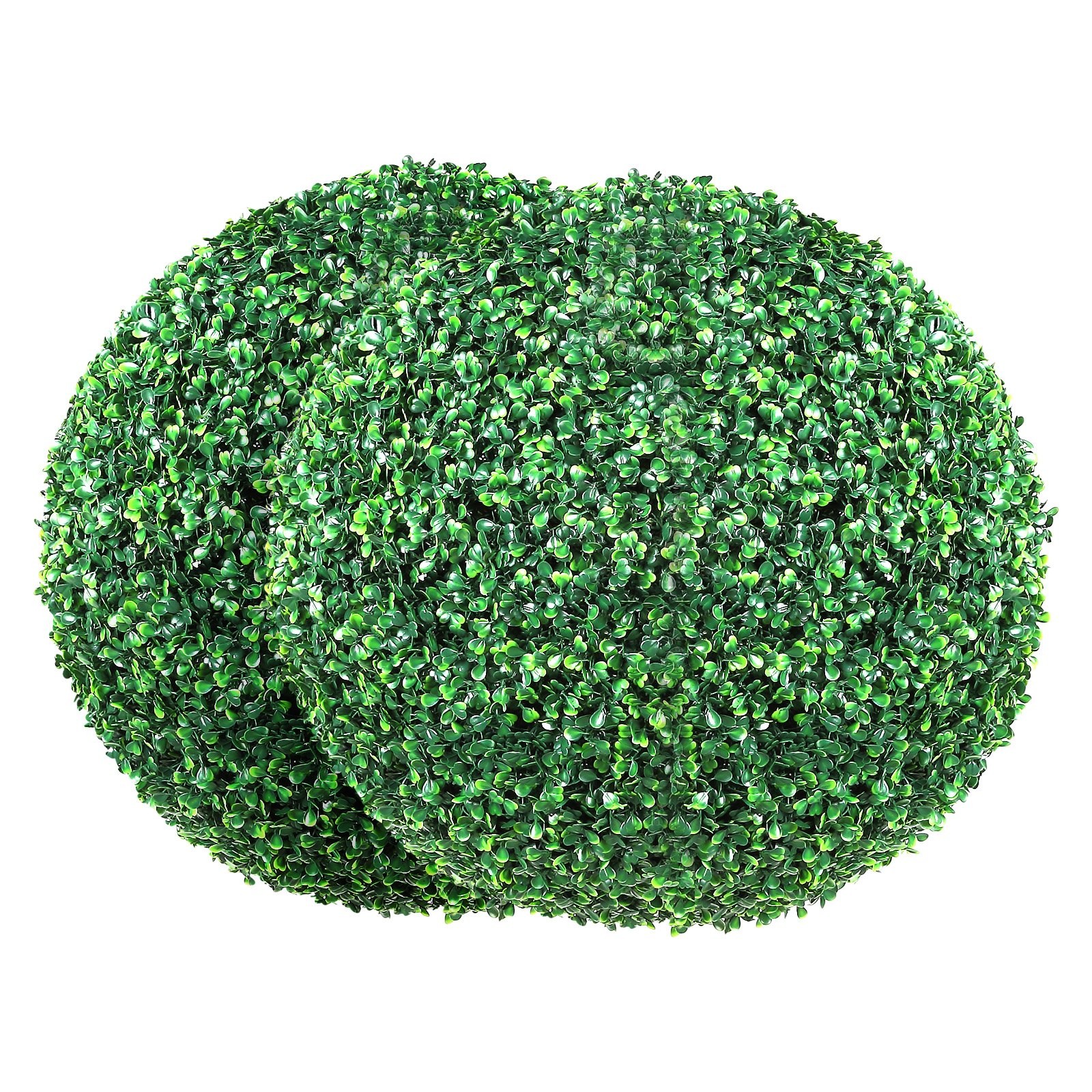 Outdoor Boxwood Trees