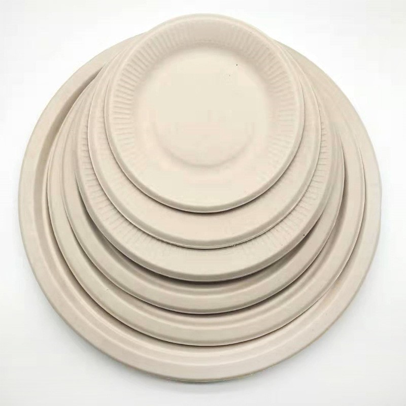 Disposable Paper Plates