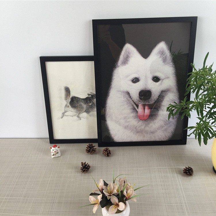 Black Picture Frame