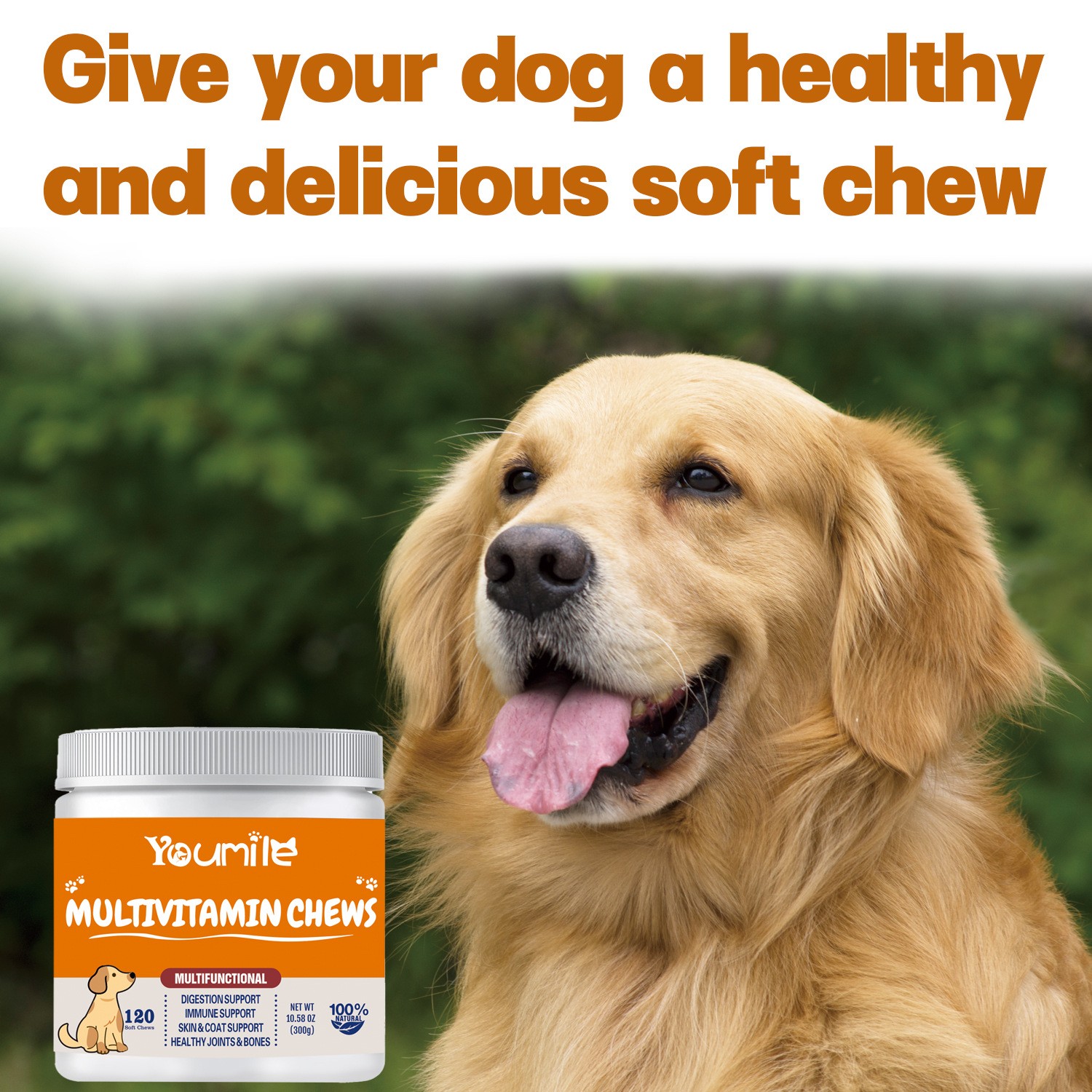 Youmile Multivitamin Chews Daily Multifunctional Nutrition for Dogs