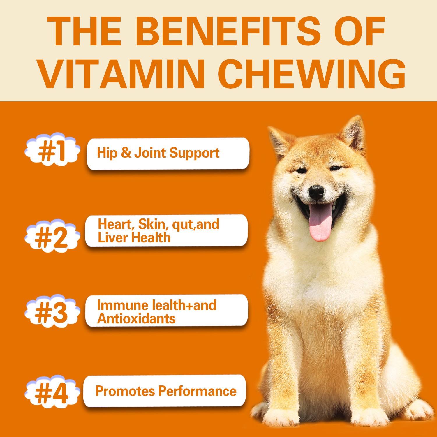 Youmile Multivitamin Chews Daily Multifunctional Nutrition for Dogs