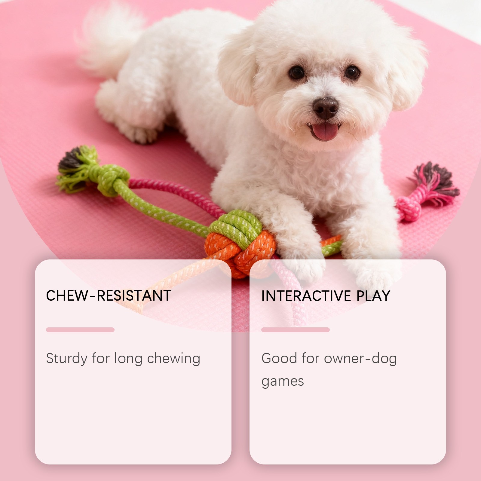 EelJoy Dog Rope Toy Sturdy, Durable, and Chew-Resistant