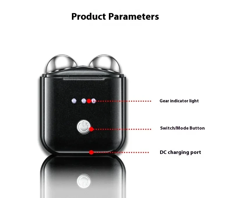 Dual Ball Facial Massager