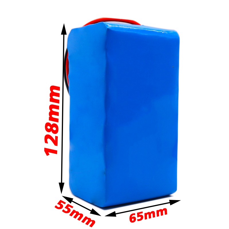 Scooter Battery