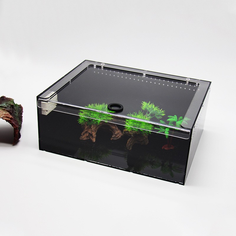 Reptile Terrarium