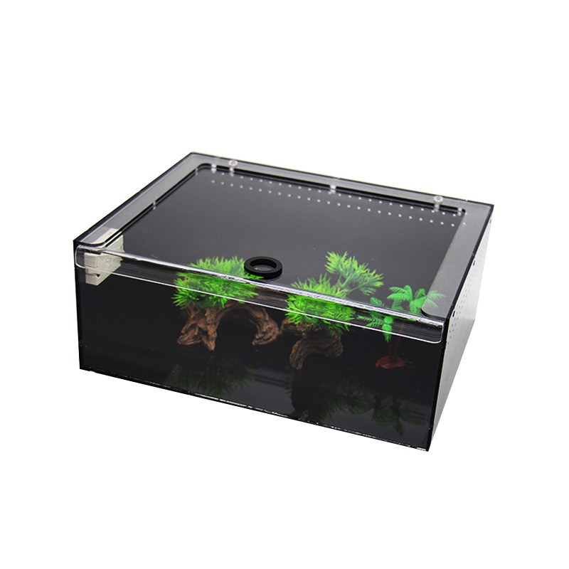 Reptile Terrarium