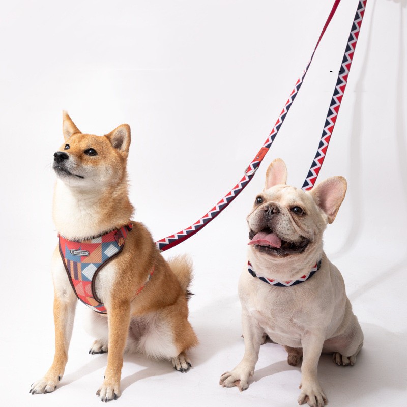 Dog Leads