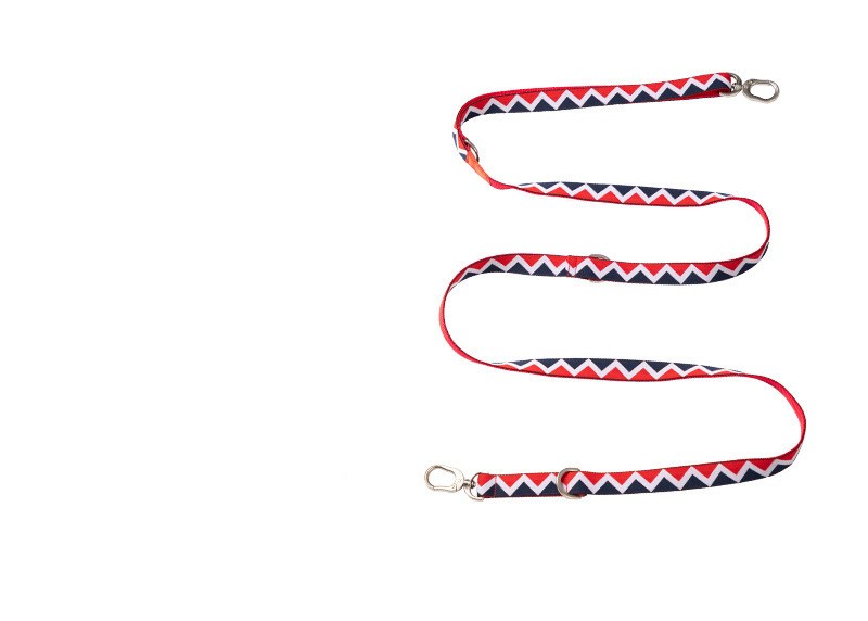Dog Leads