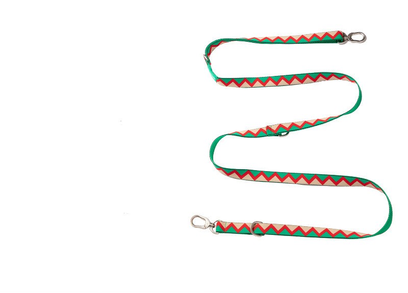 Dog Leads