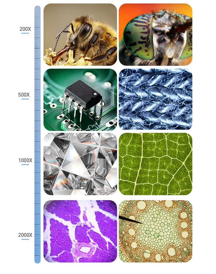 Digital Microscope