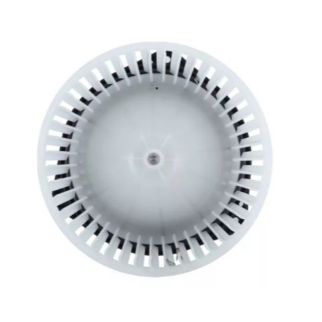 Blower Motor